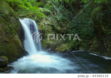 阿賀野市 魚止めの滝 阿賀野市 魚止めの滝 64360119