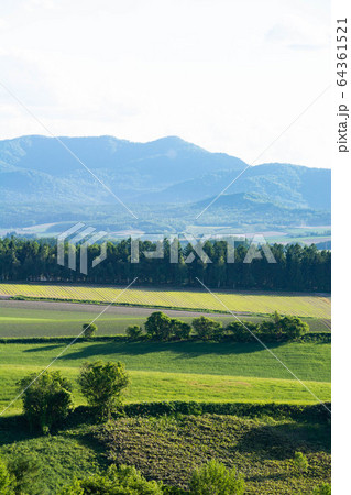初夏の畑作地帯 初夏の畑作地帯 64361521