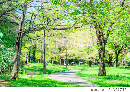 東京　板橋区　春の赤塚公園 64361755