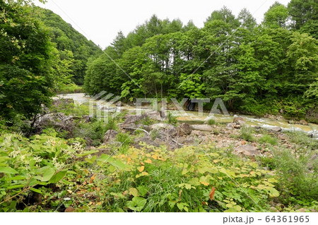 長流川水系長流川 長流川水系長流川 64361965