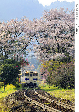 豊後中川駅と桜 64361979