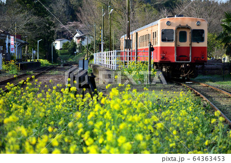 田舎の駅に停車する小湊鉄道のローカル列車 64363453