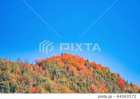 小鳥の森（三徳園）から見た紅葉の秋の山　岡山県岡山市東区 64363572