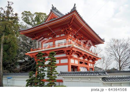 【四国八十八ヶ所】第三番　金泉寺　新年の仁王門　徳島県板野郡板野町 64364508