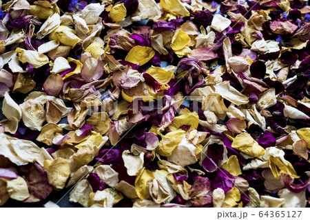 High angle close up of dried flower petals. 64365127