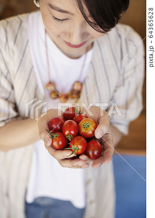High angle close up of Japanese woman holding freshly picked tomatoes. 64365628