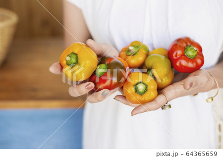 Close up of person holding freshly picked picked red and yellow peppers. Close up of person holding freshly picked picked red and yellow peppers. 64365659