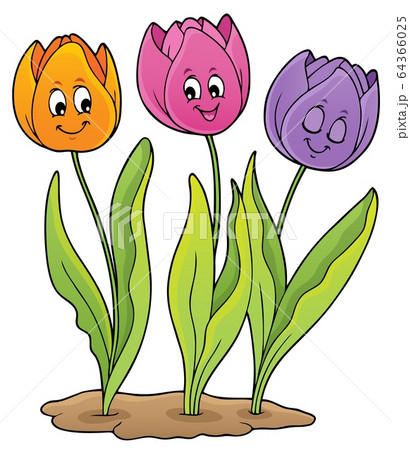 Image with tulip flower theme 5 Image with tulip flower theme 5 64366025