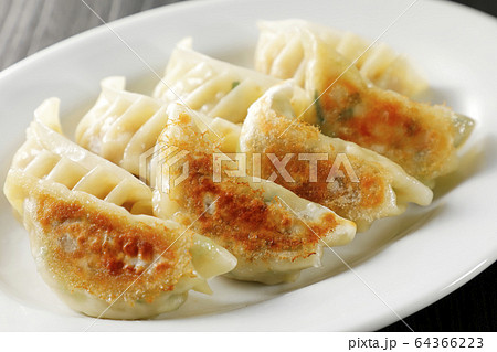 焼き餃子 64366223