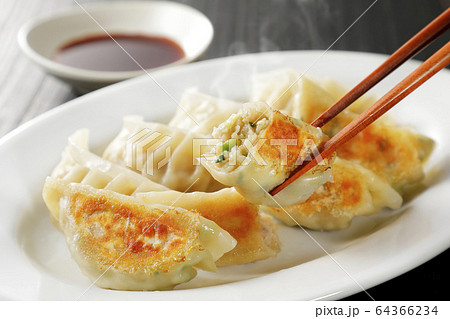 焼き餃子 64366234