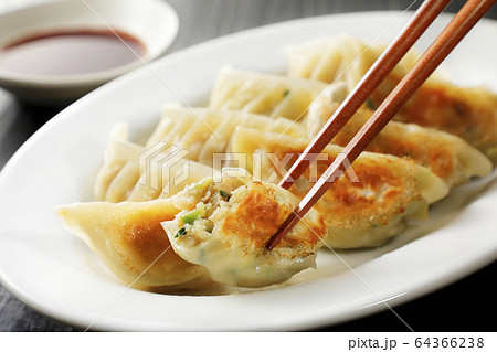 焼き餃子 64366238
