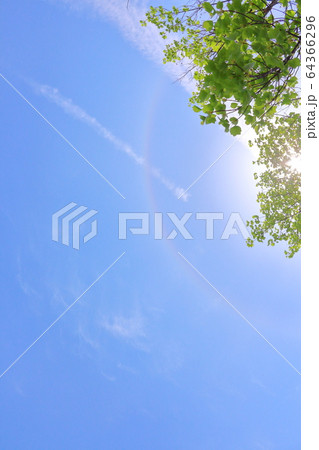 初夏、晴天の空 64366296