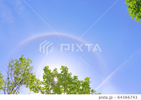 初夏、晴天の空 64366743