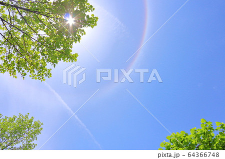 初夏、晴天の空 64366748