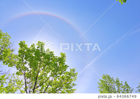 初夏、晴天の空 初夏、晴天の空 64366749