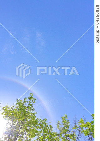 初夏、晴天の空 64366828