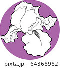 iris flawers in the circle hand draw 64368982