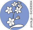 Forget me not flawers in circle hand draw 64368984