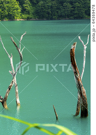 エメラルドグリーンの秘境 64369478