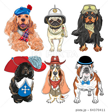 Vector Set hipster dogs in clothes 64370411