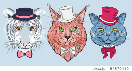 vector set of cat hipster 64370419