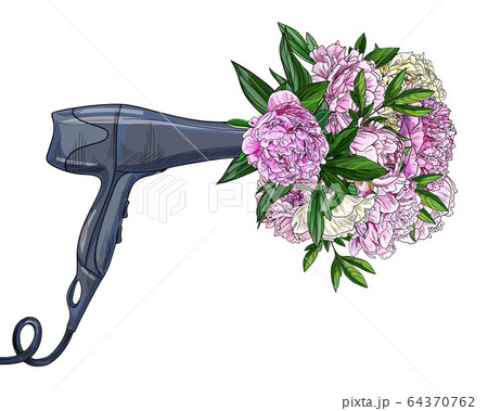 Bouquet of lush pink peonies sticked out of hairdryer 64370762