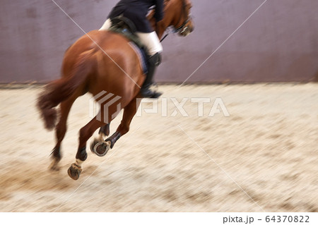 Horseman on chestnut horse rides through a stadium Horseman on chestnut horse rides through a stadium 64370822