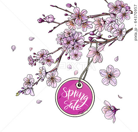 Round SPRING SALE tag is hanging on sakura branch Round SPRING SALE tag is hanging on sakura branch 64370957