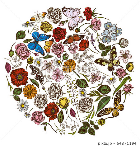 Round floral design with colored shepherd's purse, heather, iris japonica, sakura, gypsophila, chamomile, almond, poppy flower, calendula, blue morpho, lemon butterfly, red lacewing, african giant Round floral design with colored shepherd's purse, heather, iris japonica, sakura, gypsophila, chamomile, almond, poppy flower, calendula, blue morpho, lemon butterfly, red lacewing, african giant 64371194