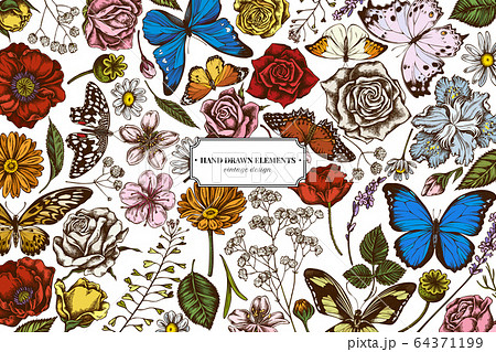 Floral design with colored shepherd's purse, heather, iris japonica, sakura, gypsophila, chamomile, almond, poppy flower, calendula, menelaus blue morpho, blue morpho, lemon butterfly, red lacewing 64371199