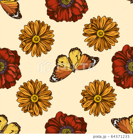 Seamless pattern with hand drawn colored poppy flower, calendula, plain tiger 64371235
