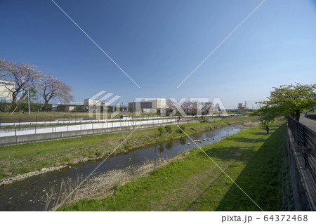 東村山浄水所付近の空堀川 東村山浄水所付近の空堀川 64372468