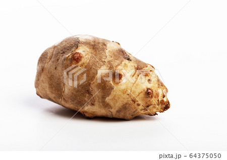 Jerusalem artichoke 64375050