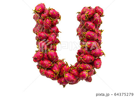 Letter U from dragon fruits, 3D rendering Letter U from dragon fruits, 3D rendering 64375279