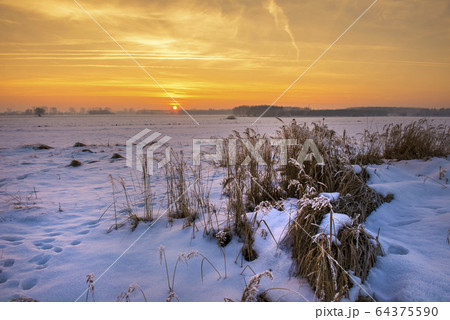 Beautiful winter sunrise over fields covered with 64375590