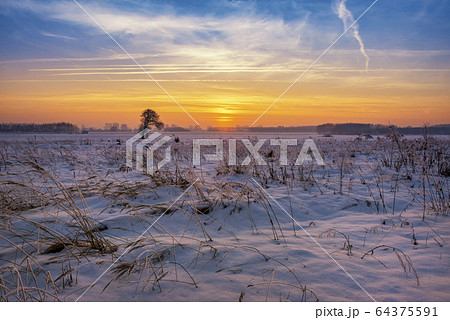 Beautiful winter sunrise over fields covered with 64375591
