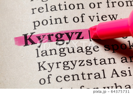 definition of Kyrgyz 64375731