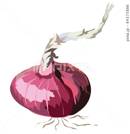 Vector fruit-1 Vector fruit-1 64375886