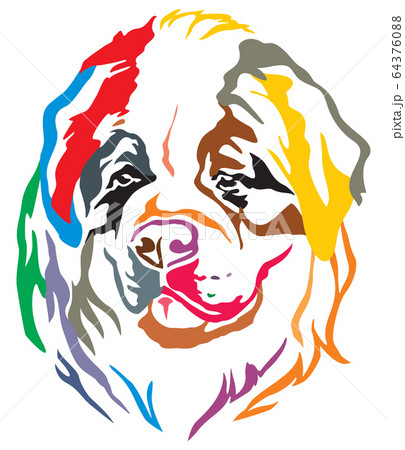 Colorful decorative portrait of Dog St. Bernard 64376088