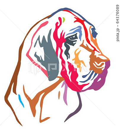 Colorful decorative portrait of Dog Great Dane 64376089