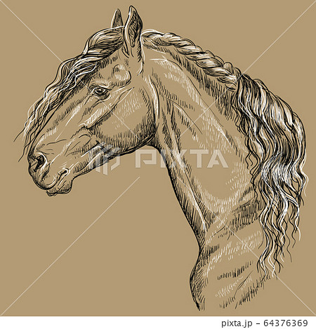 Horse portrait-15 on brown background Horse portrait-15 on brown background 64376369
