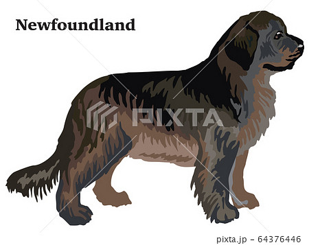 Colored decorative standing portrait of Colored decorative standing portrait of 64376446