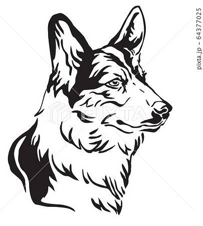 Decorative portrait of Dog Welsh Corgi vector 64377025