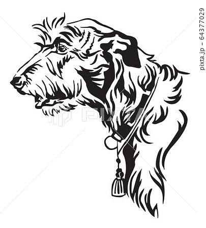 Decorative portrait of Dog Irish Wolfhound vector Decorative portrait of Dog Irish Wolfhound vector 64377029