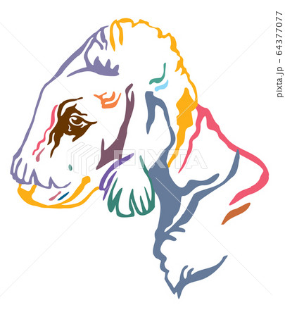 Colorful decorative portrait of Dog Bedlington 64377077