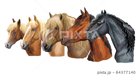 Set of horses breeds 4 64377140