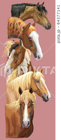 Postcard with horses 4 Postcard with horses 4 64377141