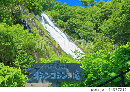 【北海道】知床オシンコシンの滝 64377212