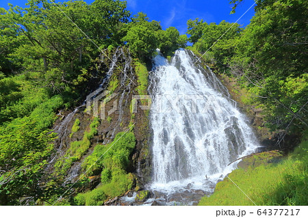 【北海道】知床オシンコシンの滝 64377217
