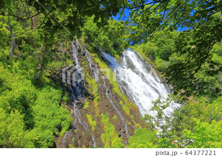 【北海道】知床オシンコシンの滝 【北海道】知床オシンコシンの滝 64377221
